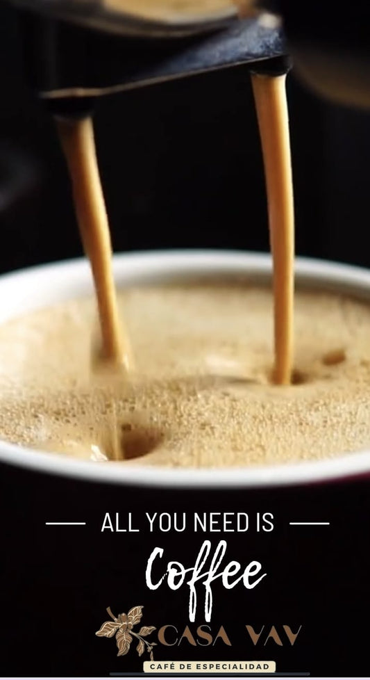 All you need is coffee Casa VAV